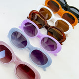 Rounded Bold Frame Sunglasses