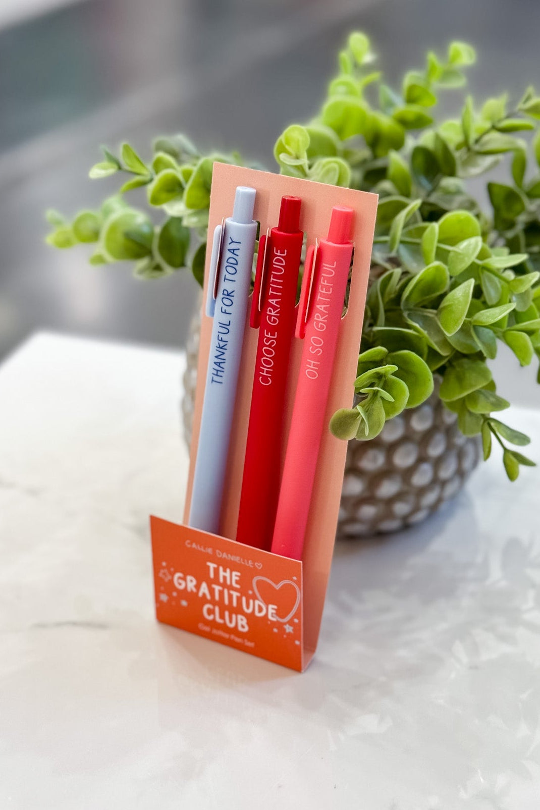 Set of pens in a holder labeled 'The Gratitude Club' on a marble surface with a plant in the background.