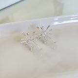 Starburst Metal Earrings