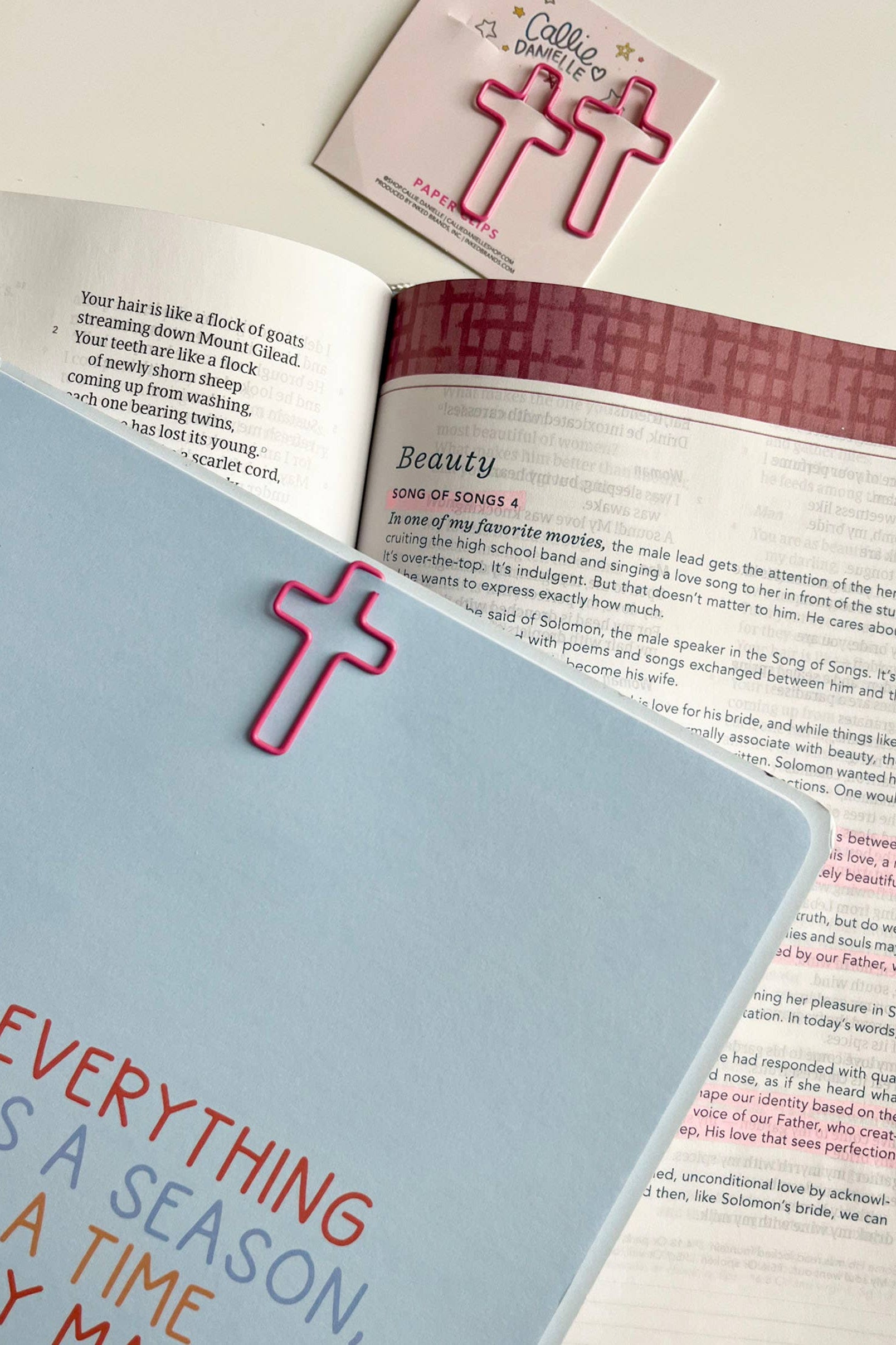 Open book with pink cross bookmarks on a white surface